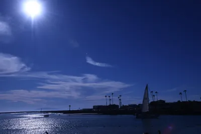 DSC_0837 (Large).JPG